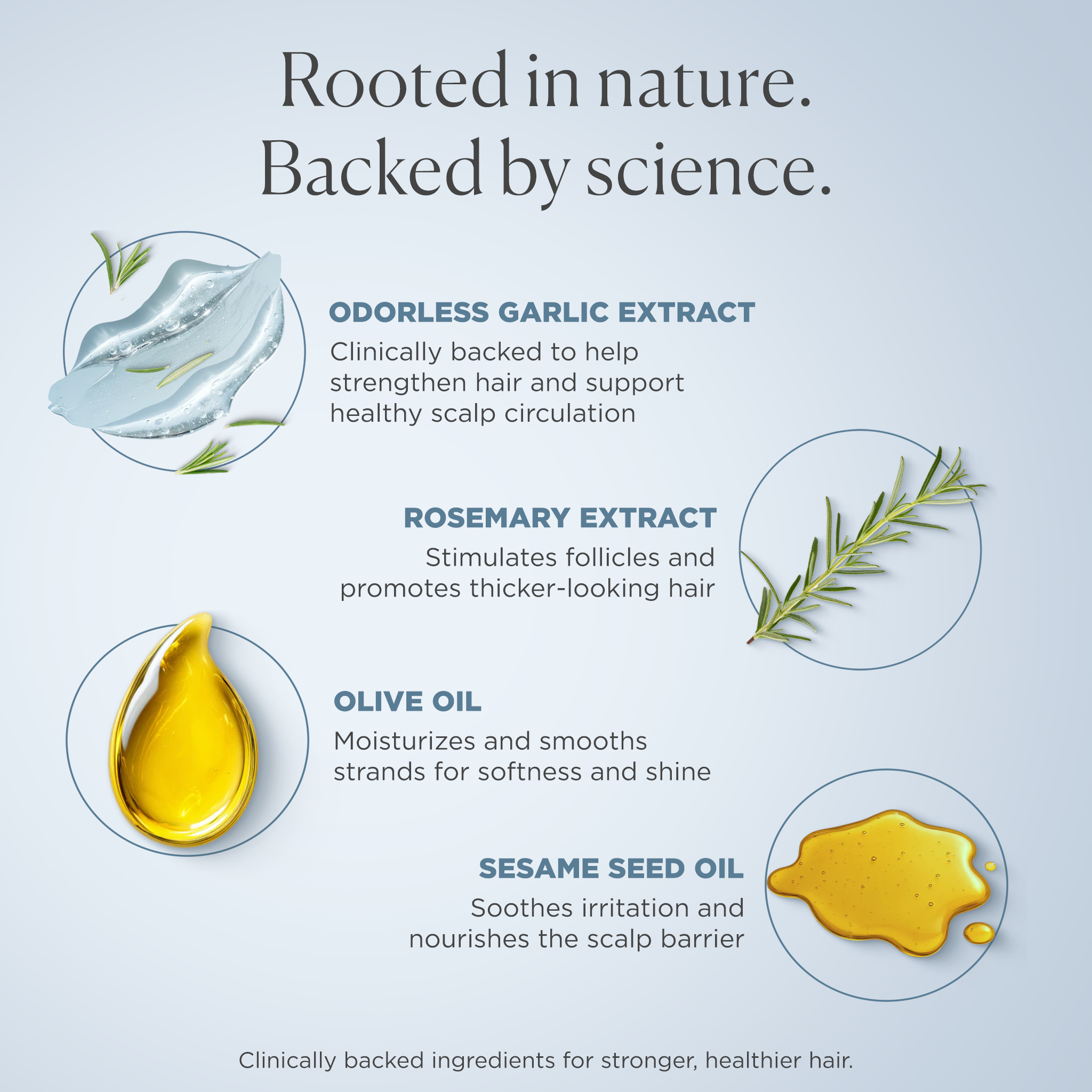 Garlic Extract & Rosemary Strengthening Shampoo