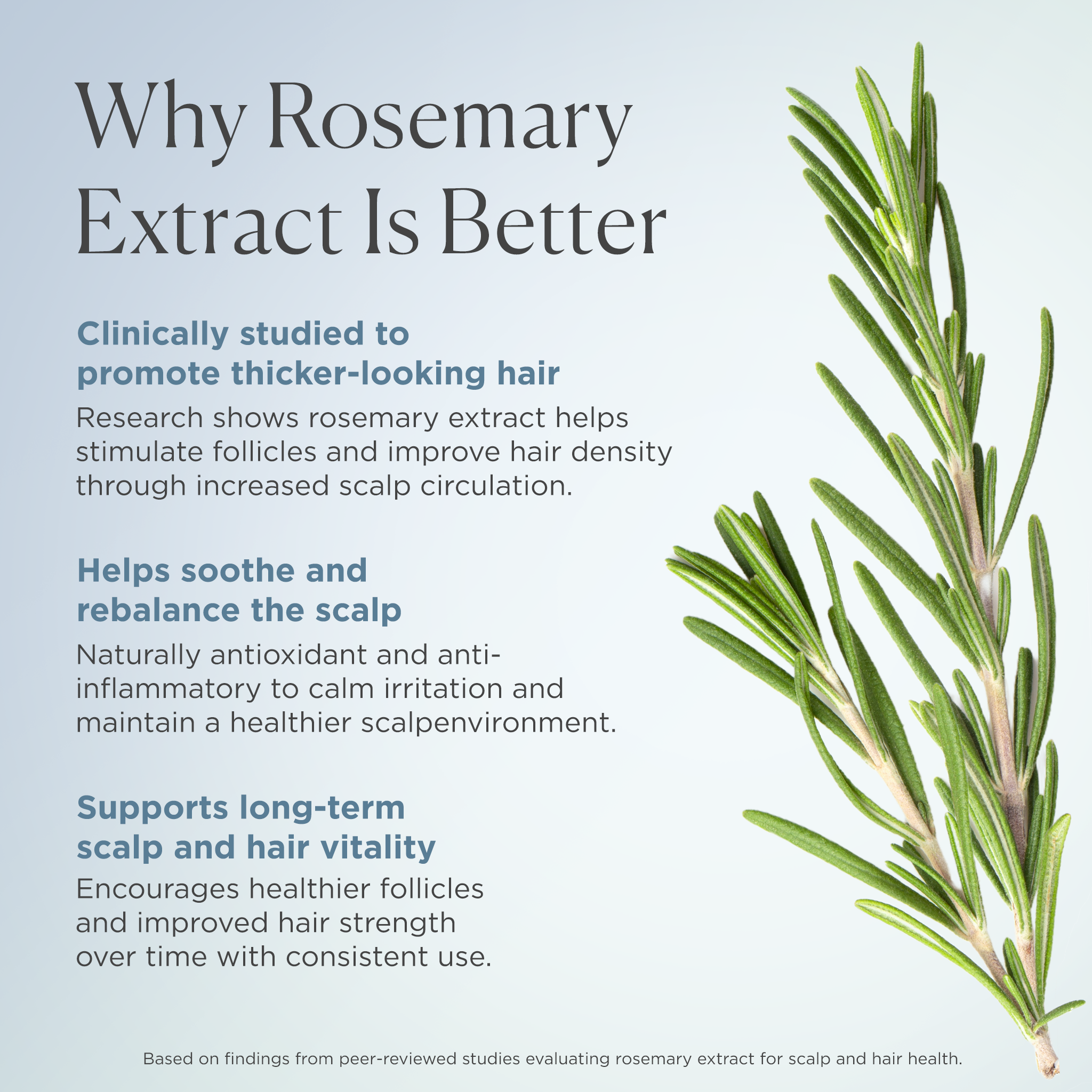 Garlic Extract & Rosemary Strengthening Shampoo
