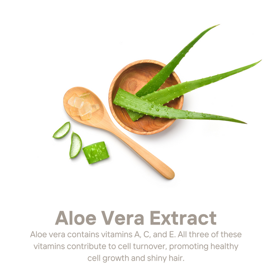 Purple Shampoo for Normal Hair Types - Intense Hydration + Volume w/ Keratin, Aloe, Argan, Allium Sativum & Chamomile Extracts